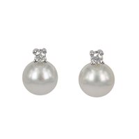 Orecchini Salvini Donna in Oro bianco Perla 20014201 - 20014201
